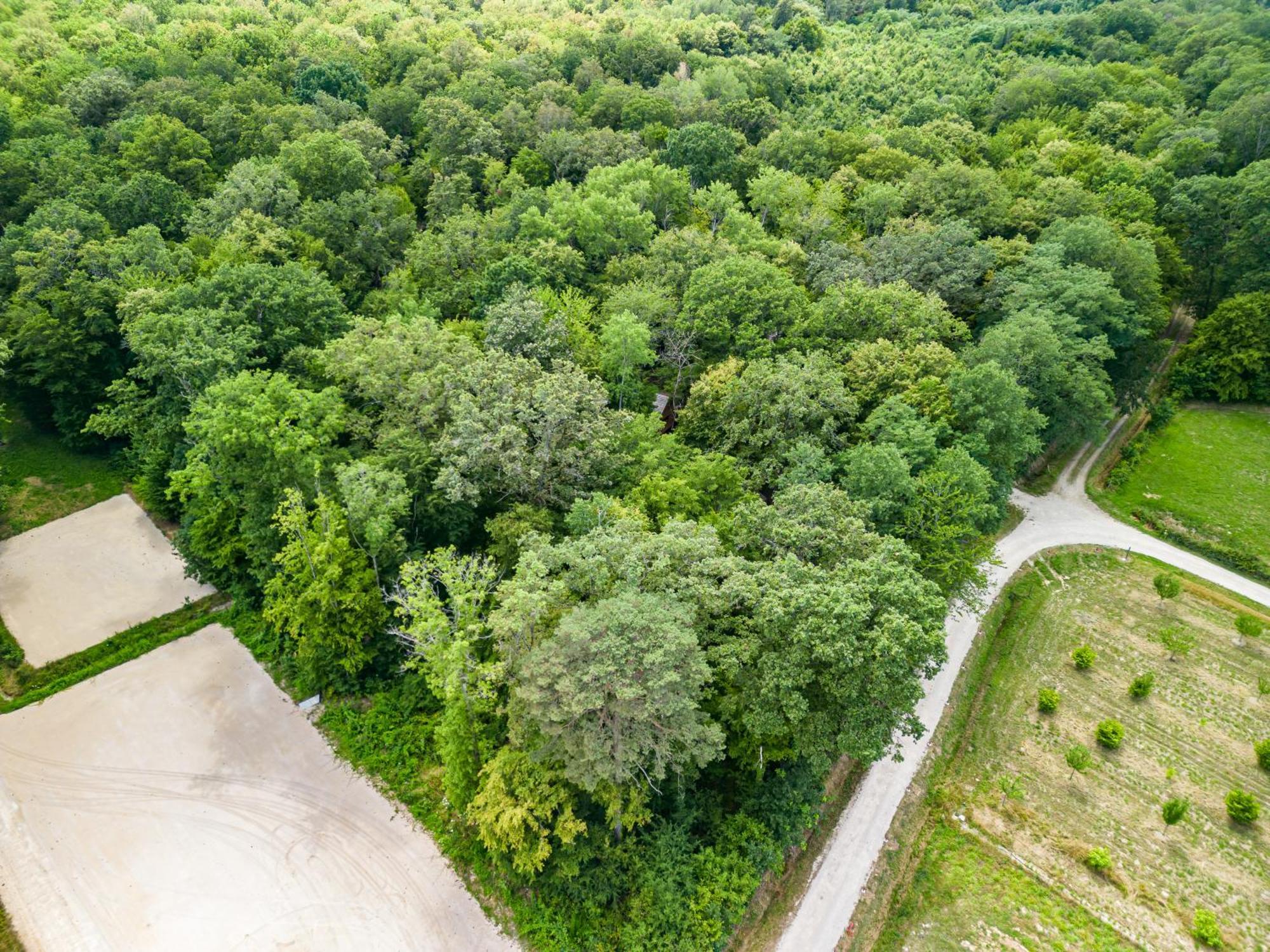 Hameau Des 40 Arpents Ξενοδοχείο Gergy Εξωτερικό φωτογραφία